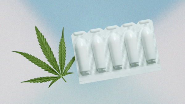 cannabis suppository