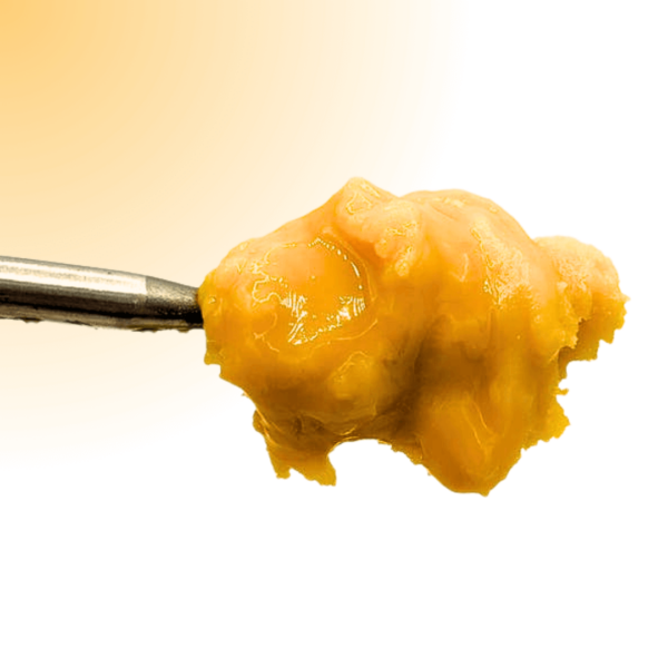 cannabis budder concentrate