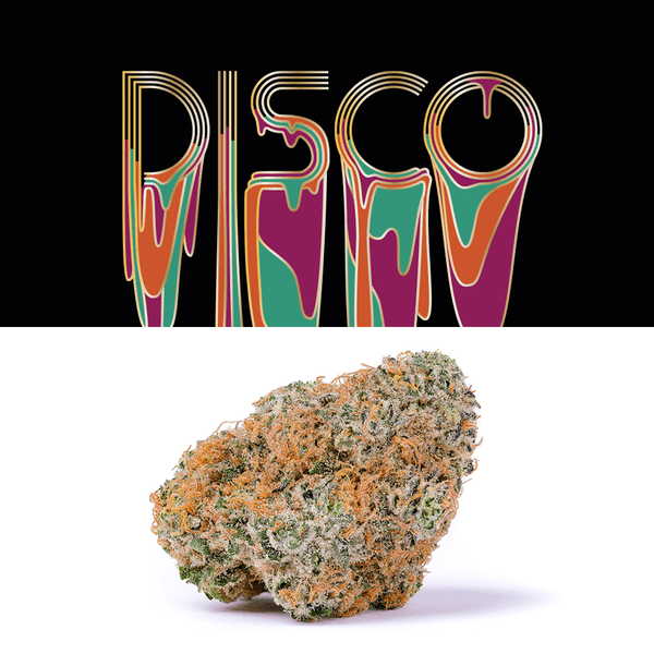 cookies cannabis disco strain